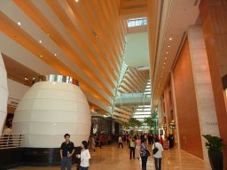87_image
